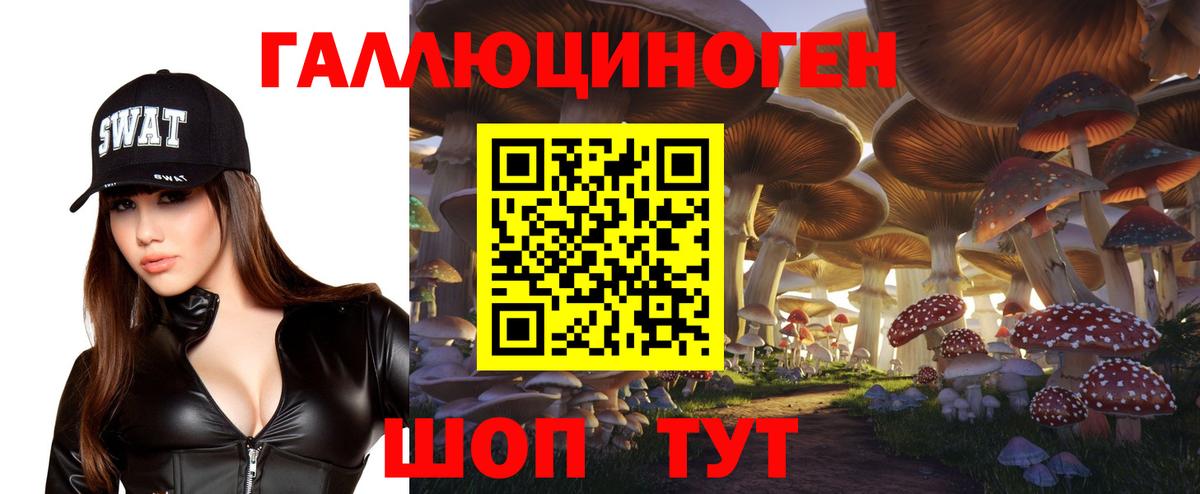 Великий Устюг  Псилоцибиновые грибы Cubensis  Вход с VPN  Псилоцибиновые грибы прущие грибы 